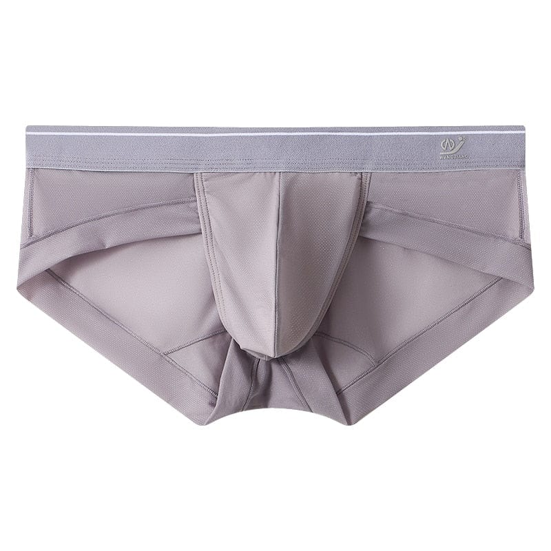 Sheer Skyline T-Briefs | dmunderwear detail image 3