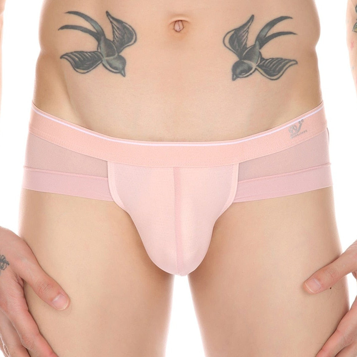 Sheer Skyline T-Briefs | dmunderwear detail image 4