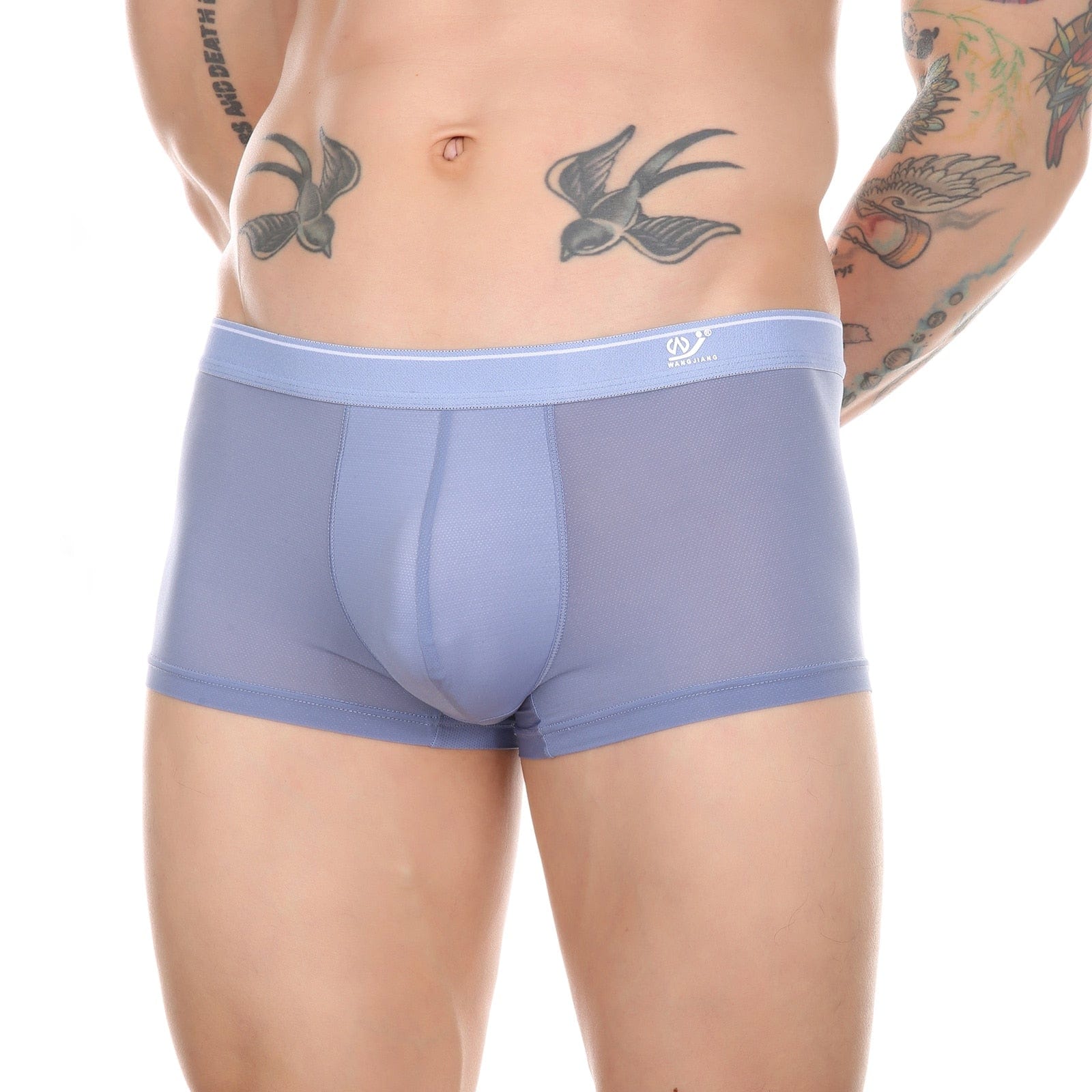 Sheer Skyline Trunks | dmunderwear detail image 14