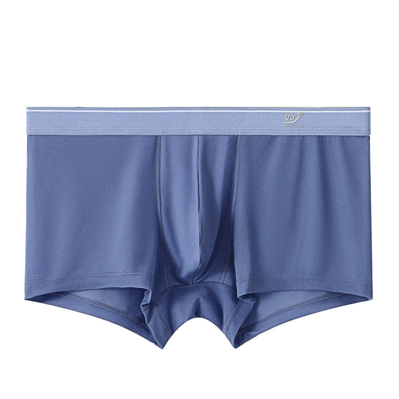 Sheer Skyline Trunks | dmunderwear detail image 16