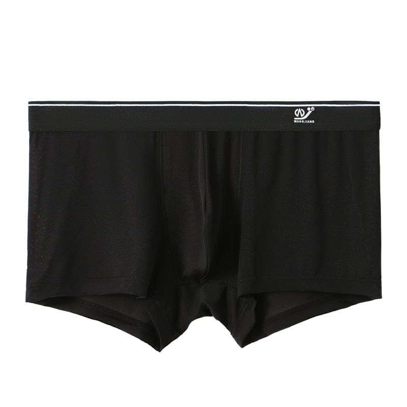 Sheer Skyline Trunks | dmunderwear detail image 20