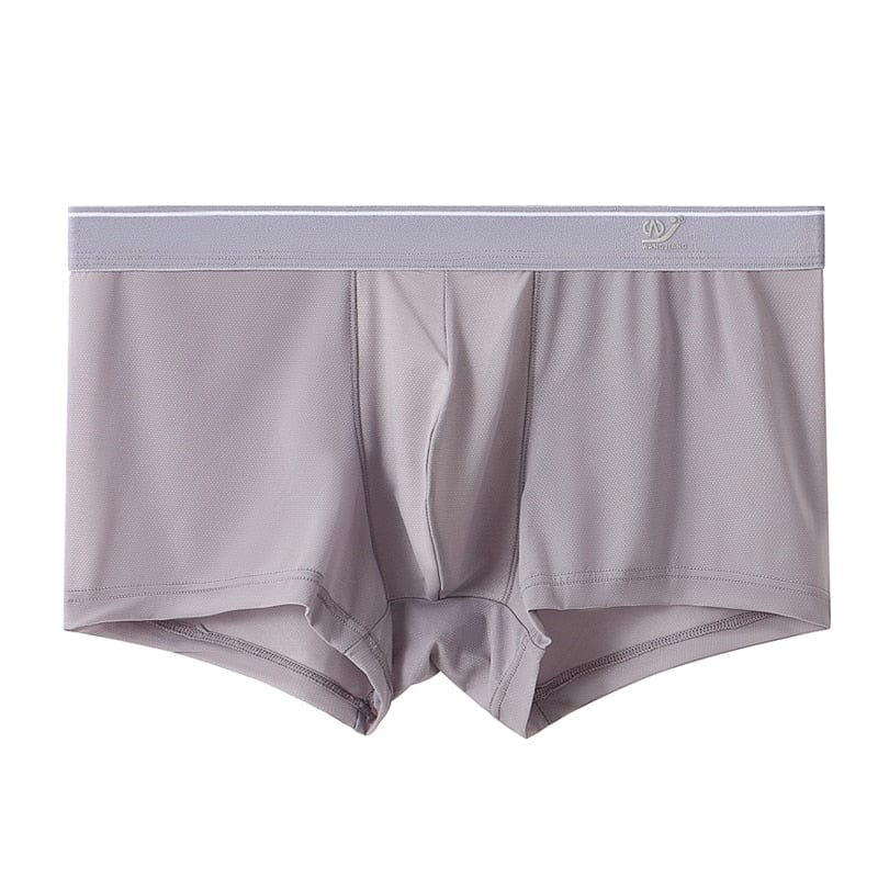 Sheer Skyline Trunks | dmunderwear detail image 4