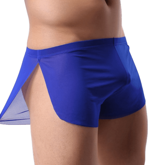 Sheer Slit Shorts | dmunderwear
