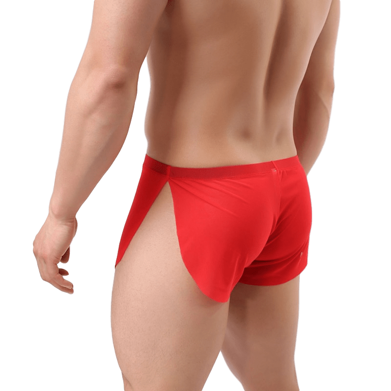 Sheer Slit Shorts | dmunderwear detail image 3