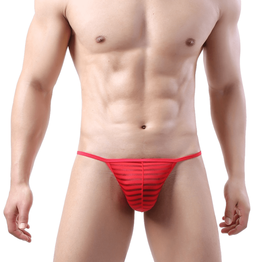 Sheer Striped String Bikini | dmunderwear detail image 5
