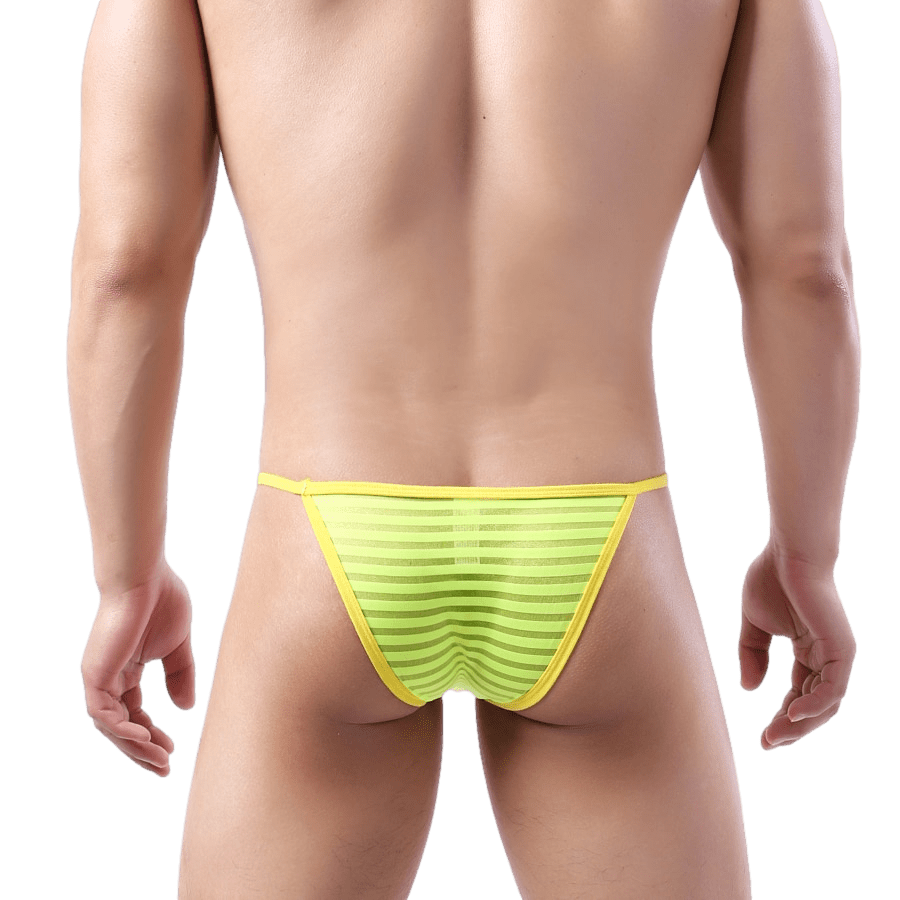 Sheer Striped String Bikini | dmunderwear detail image 6