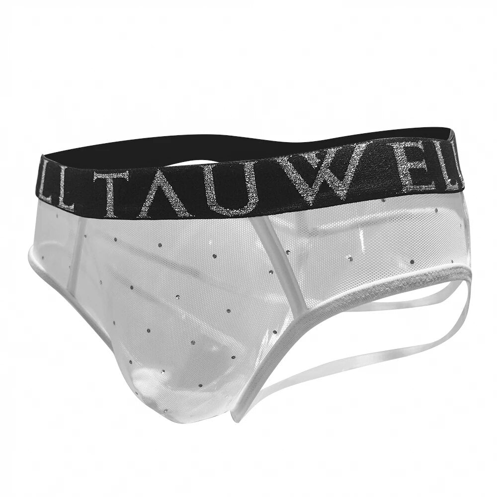Sheer Webbed Thong | dmunderwear detail image 7
