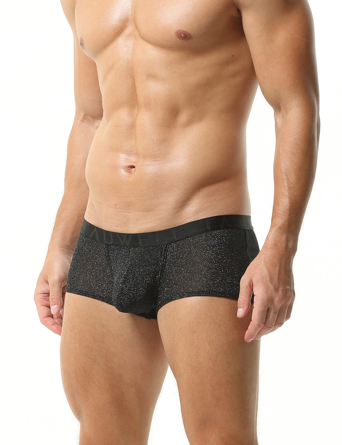 Low Rise Shiny Boxer Brief 23203 | dmunderwear detail image 10