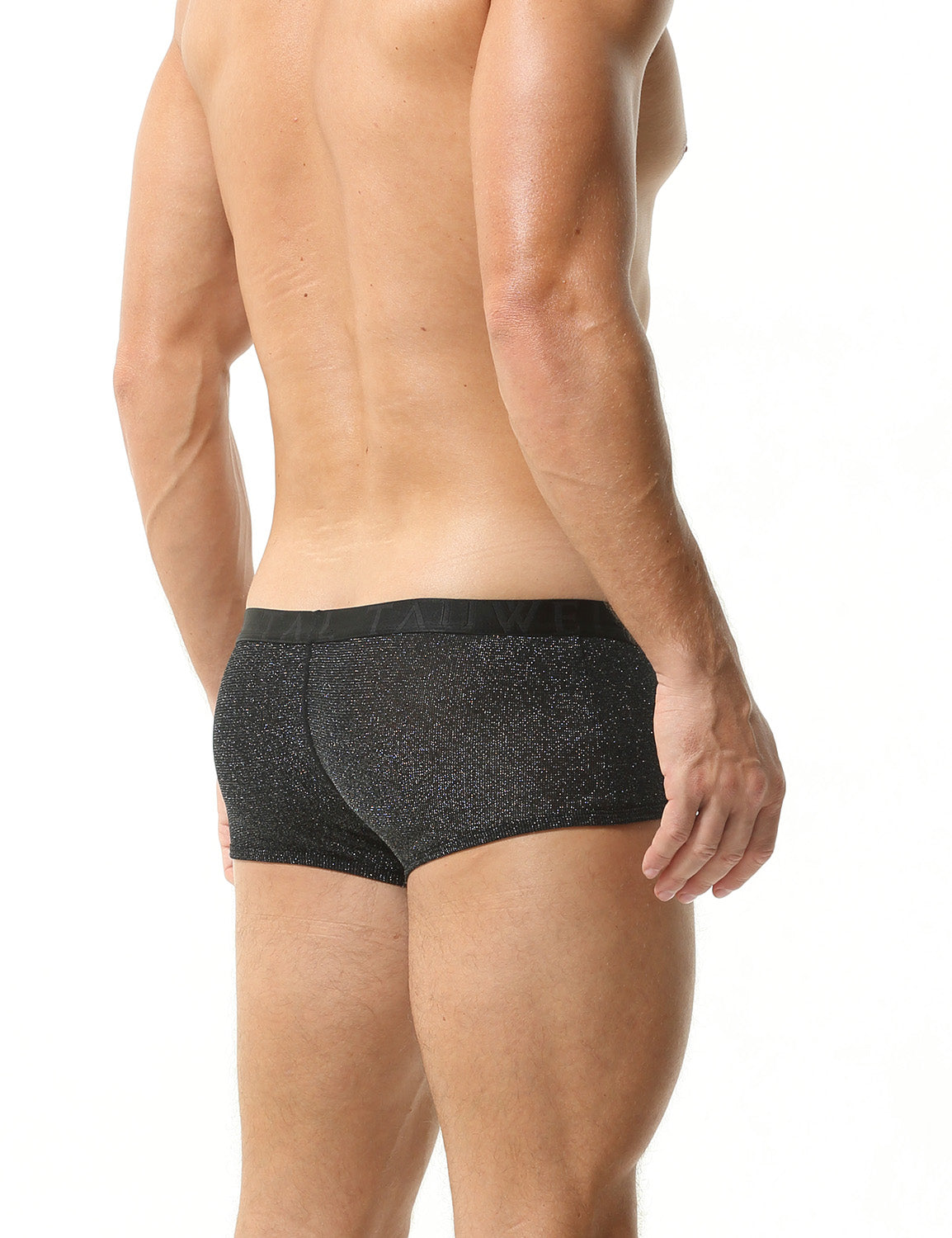 Low Rise Shiny Boxer Brief 23203 | dmunderwear detail image 12
