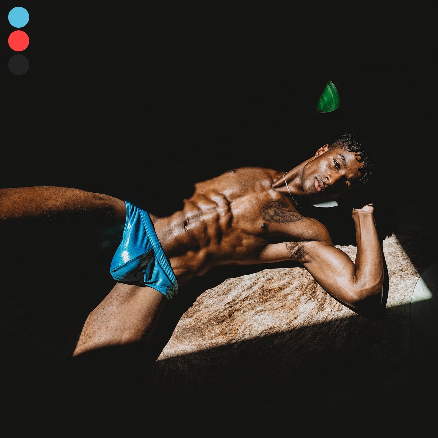 ORVLS Shiny Metallic Swim Briefs | dmunderwear product image 2