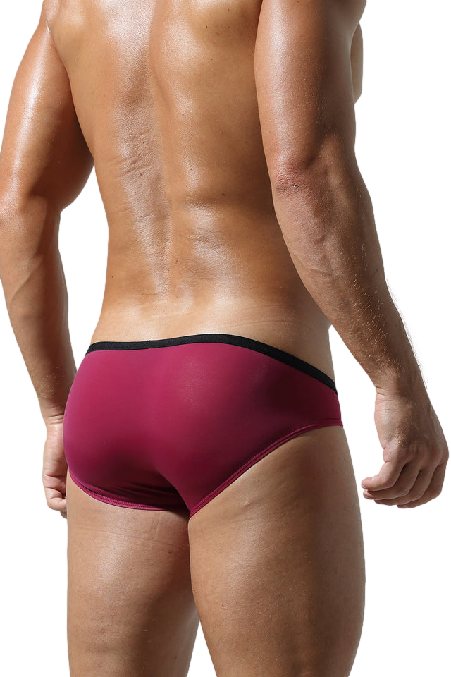 Showcase Low Rise Briefs | dmunderwear detail image 6