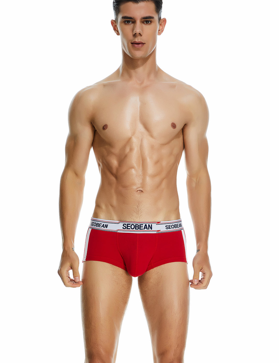 Side Line Boxer Brief 230201 | dmunderwear detail image 12