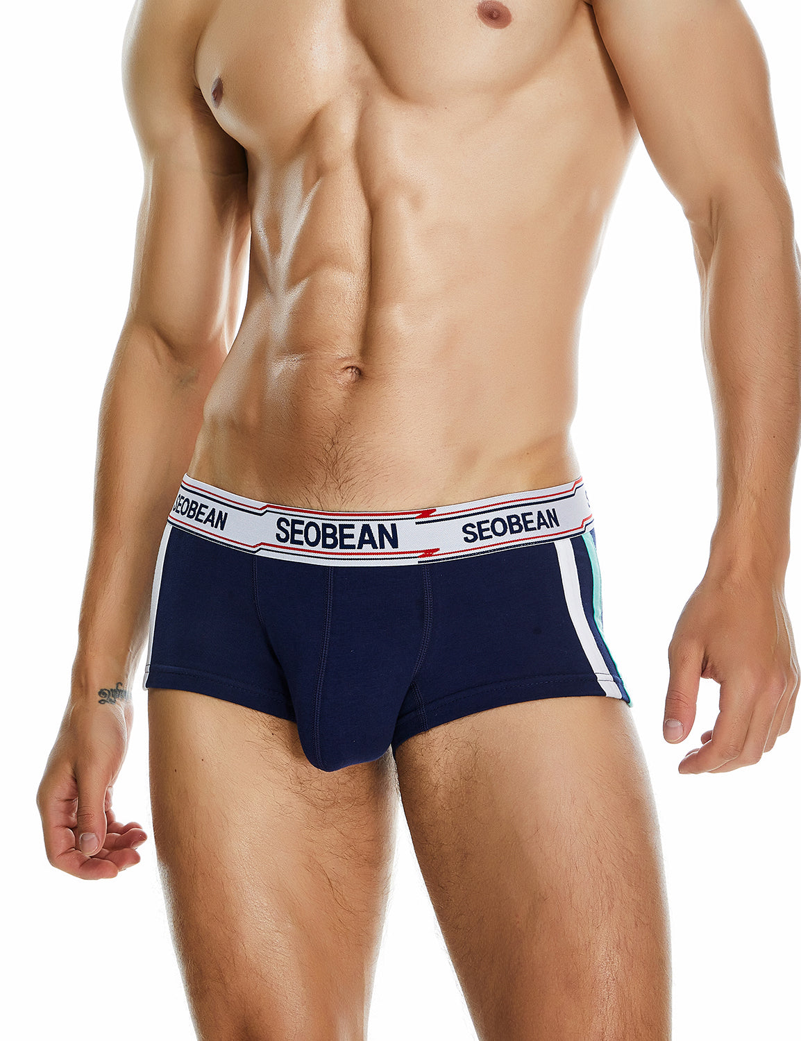 Side Line Boxer Brief 230201 | dmunderwear detail image 14