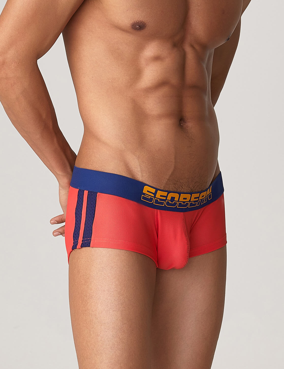 Side Line Nylon Mesh Boxer Brief 220212 | dmunderwear detail image 10