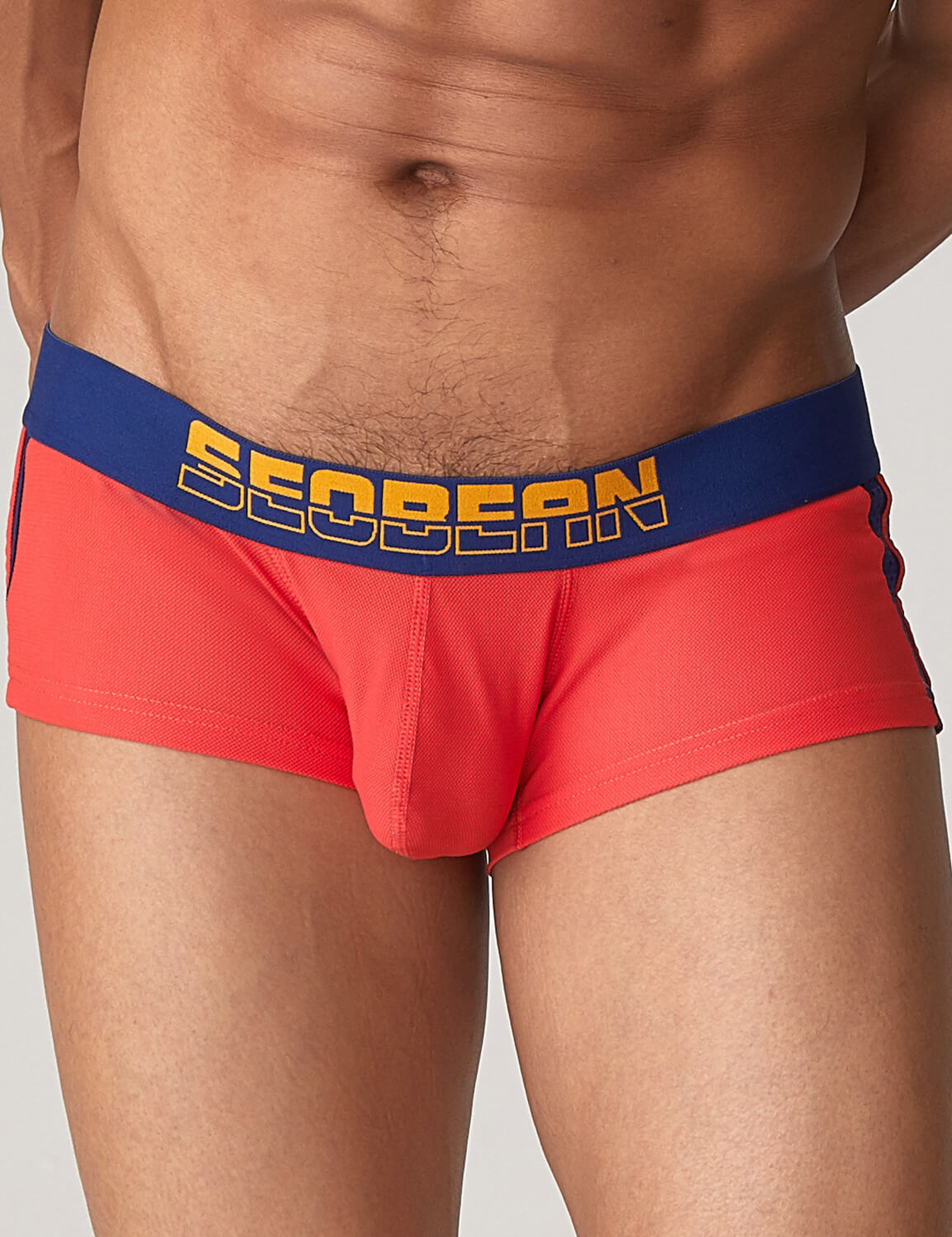Side Line Nylon Mesh Boxer Brief 220212 | dmunderwear detail image 11
