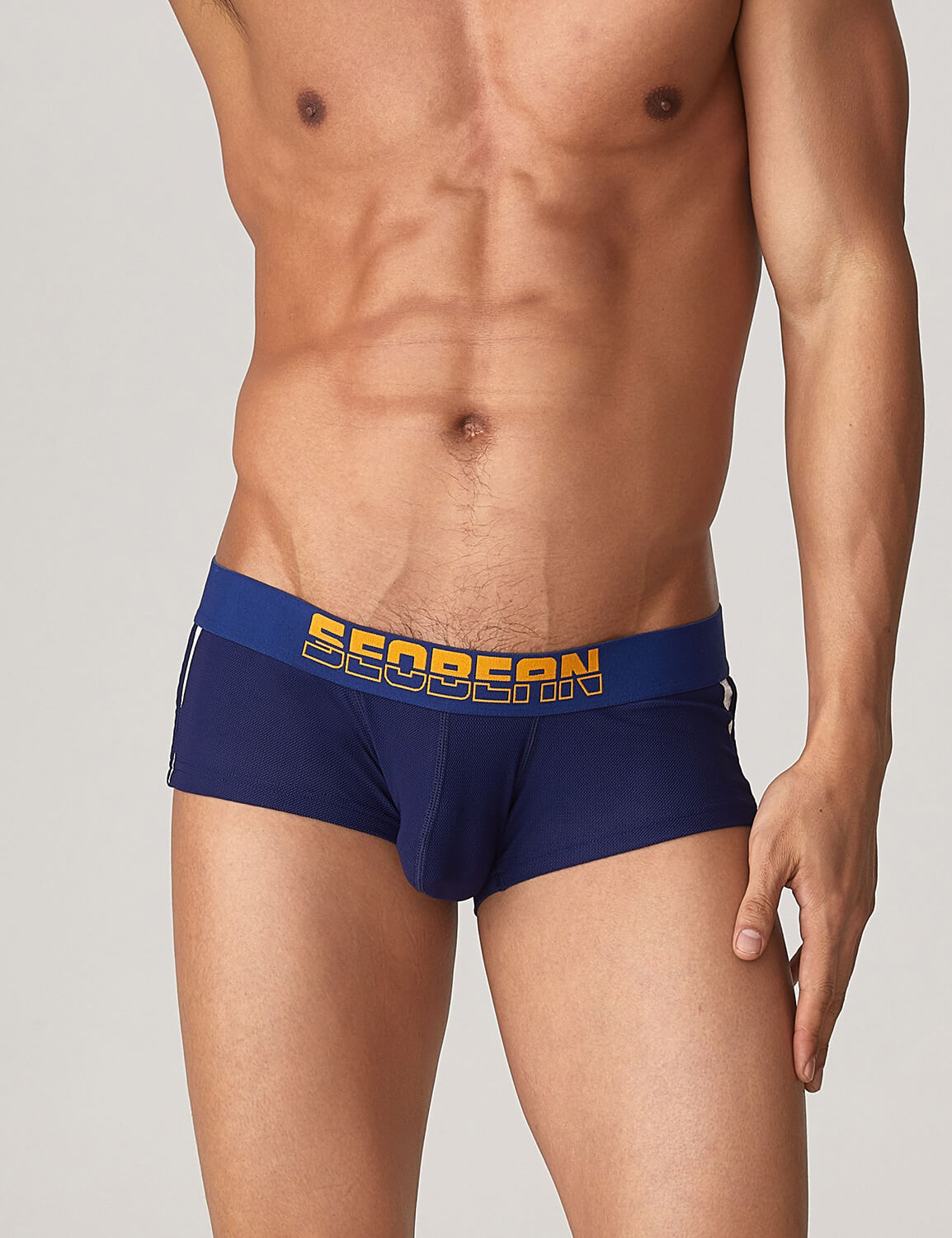 Side Line Nylon Mesh Boxer Brief 220212 | dmunderwear detail image 14