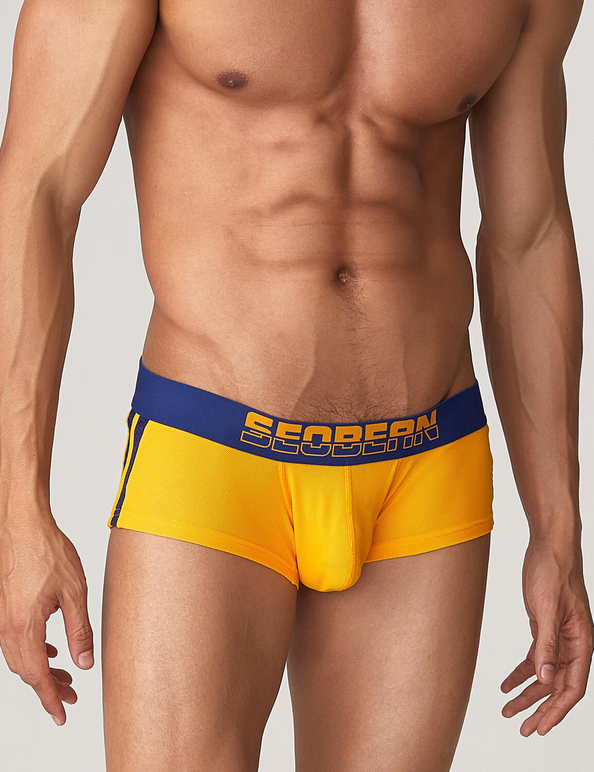 Side Line Nylon Mesh Boxer Brief 220212 | dmunderwear detail image 5