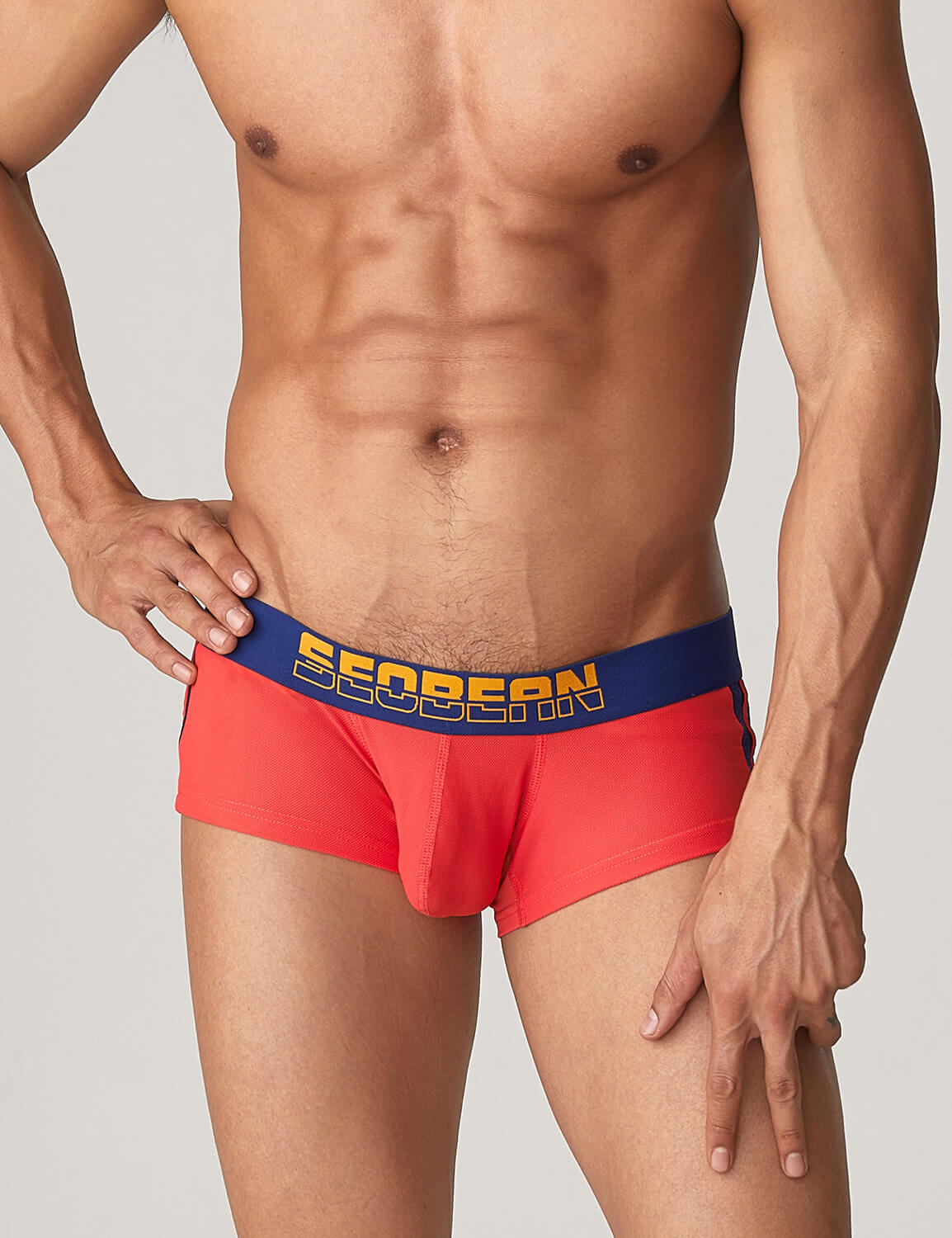 Side Line Nylon Mesh Boxer Brief 220212 | dmunderwear detail image 6