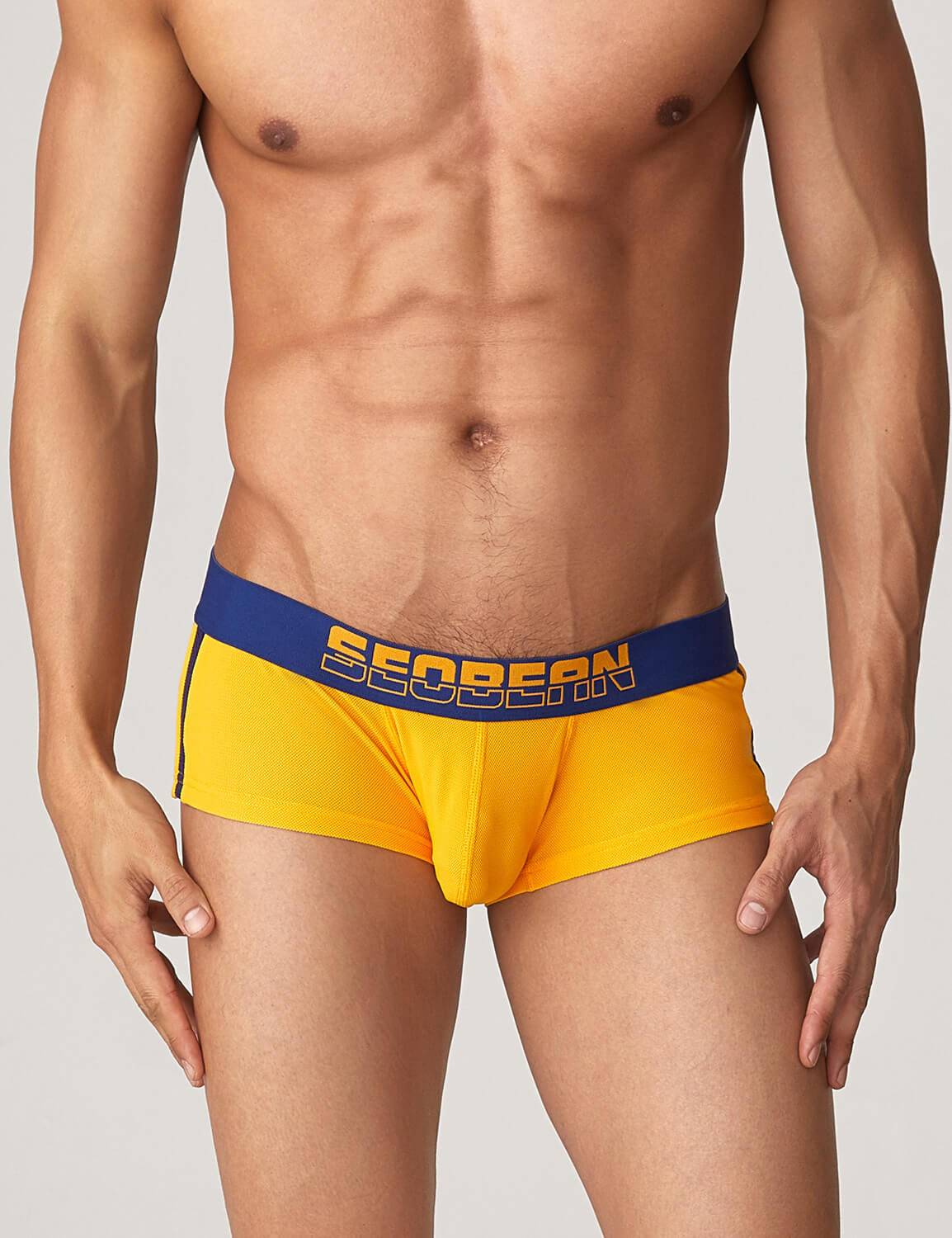 Side Line Nylon Mesh Boxer Brief 220212 | dmunderwear detail image 8