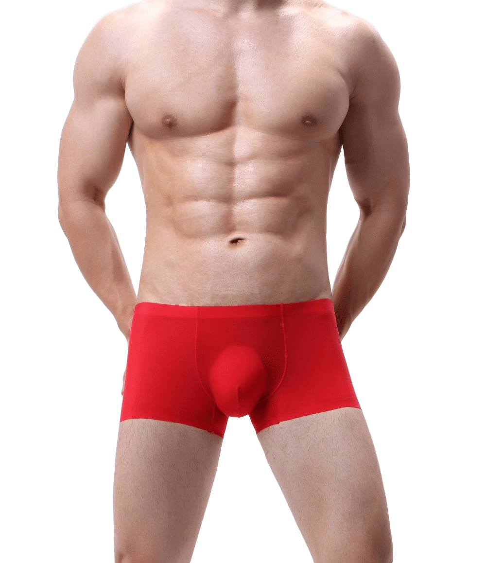 Silky Bulge Trunks | dmunderwear detail image 12