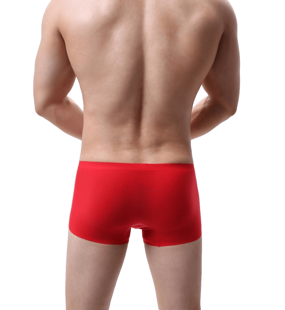 Silky Bulge Trunks | dmunderwear detail image 13