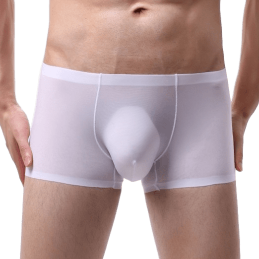 Silky Bulge Trunks | dmunderwear detail image 4