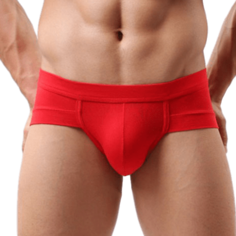 Snug Modal T Briefs | dmunderwear