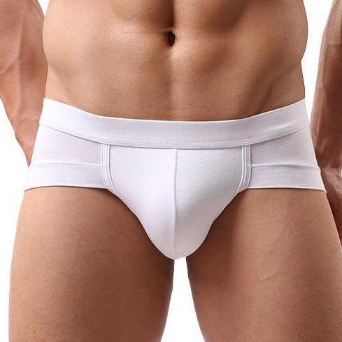 Snug Modal T Briefs | dmunderwear detail image 3