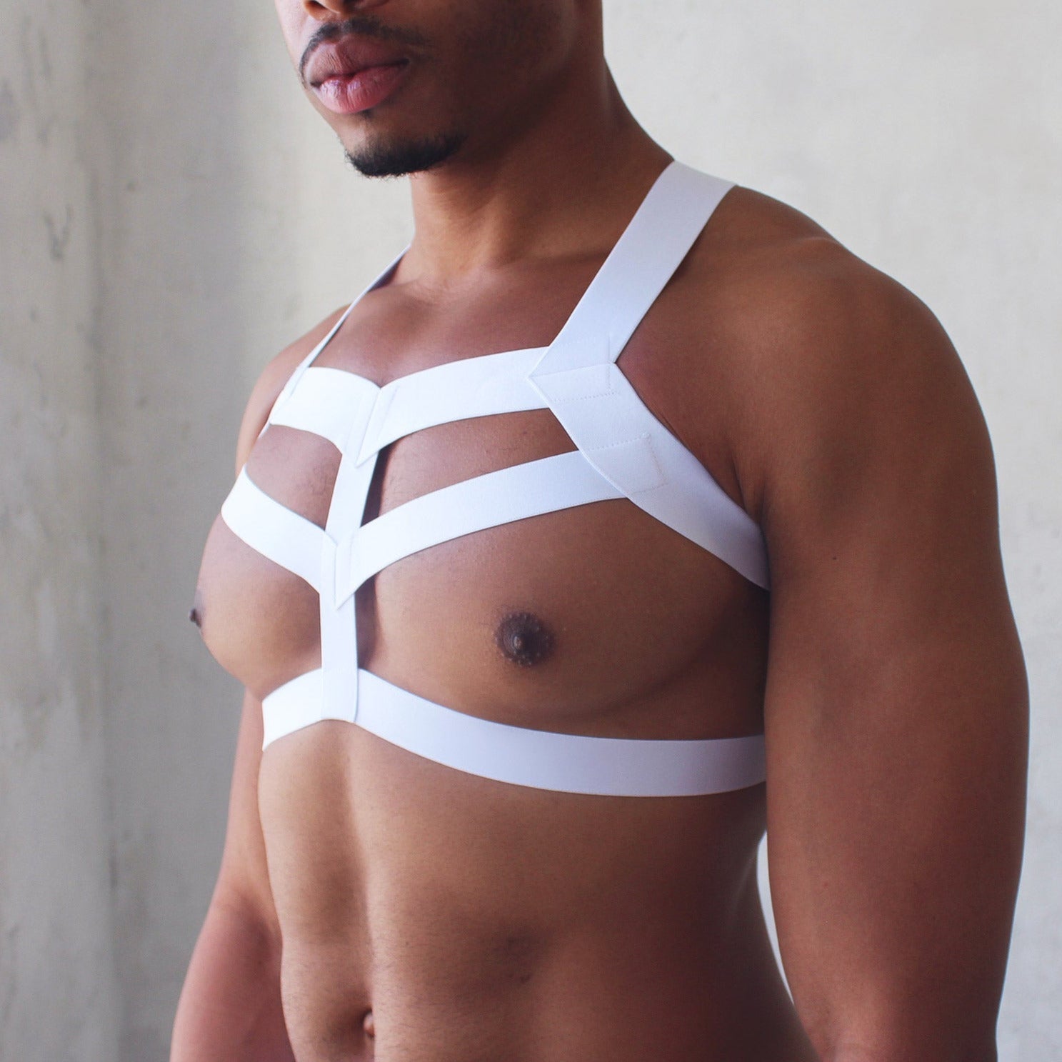 ORVLS Spiderman Chest Harness | dmunderwear