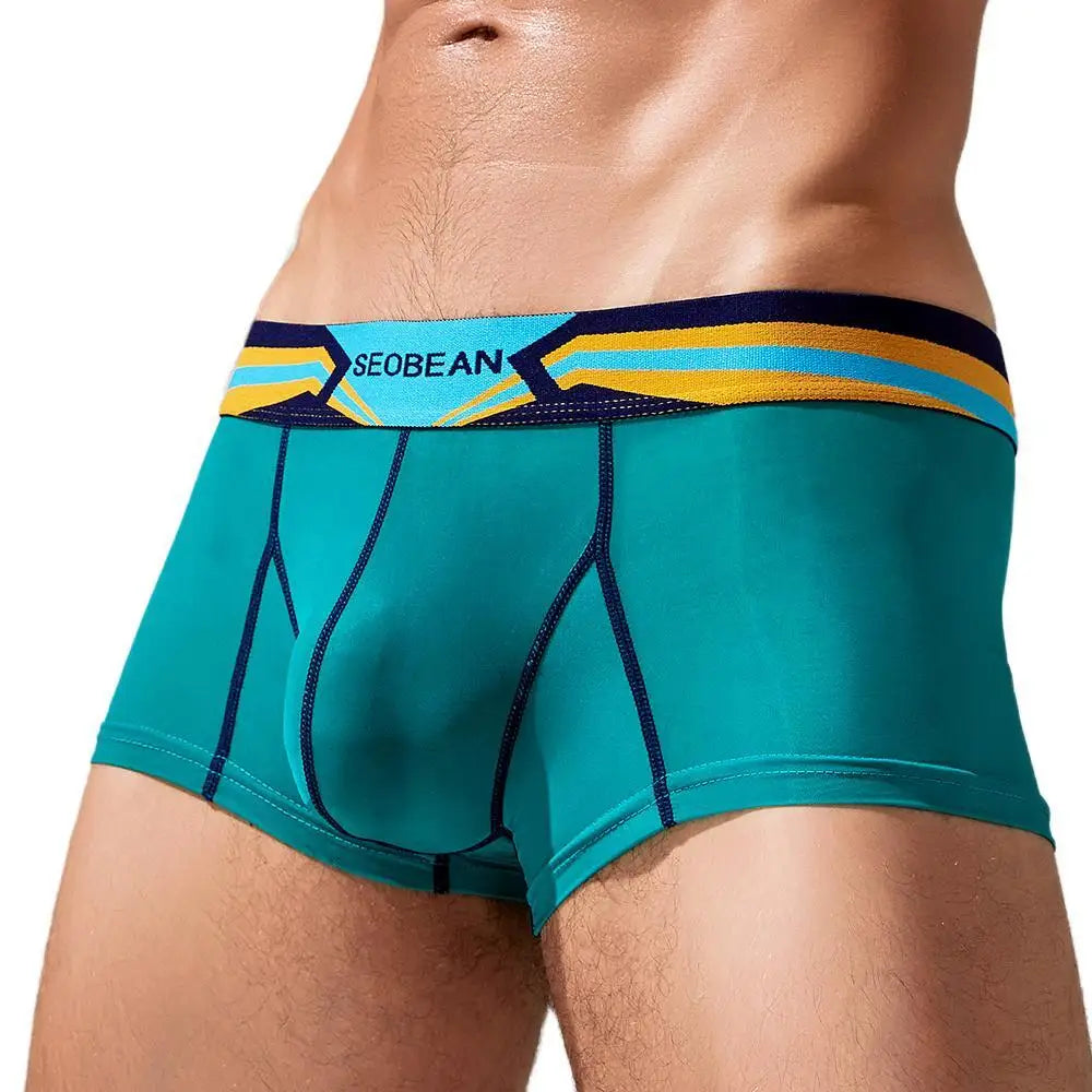 Stretch Semi-Sheer Trunks | dmunderwear