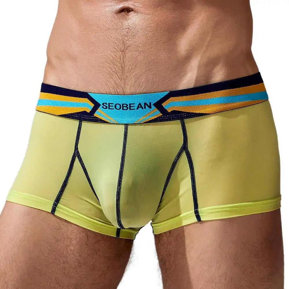 Stretch Semi-Sheer Trunks | dmunderwear detail image 11