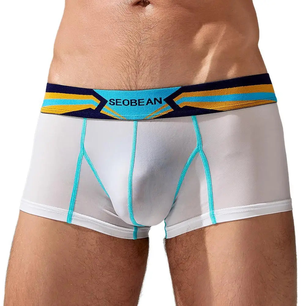 Stretch Semi-Sheer Trunks | dmunderwear detail image 12