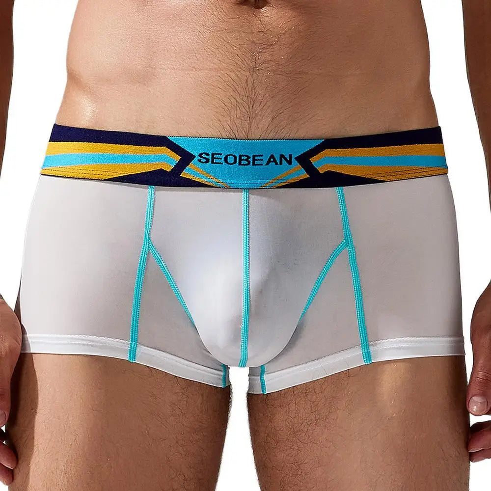 Stretch Semi-Sheer Trunks | dmunderwear detail image 13