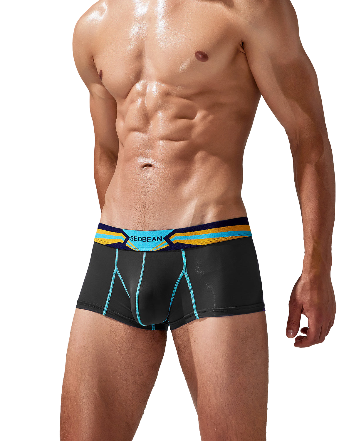 Stretch Semi-Sheer Trunks | dmunderwear detail image 18