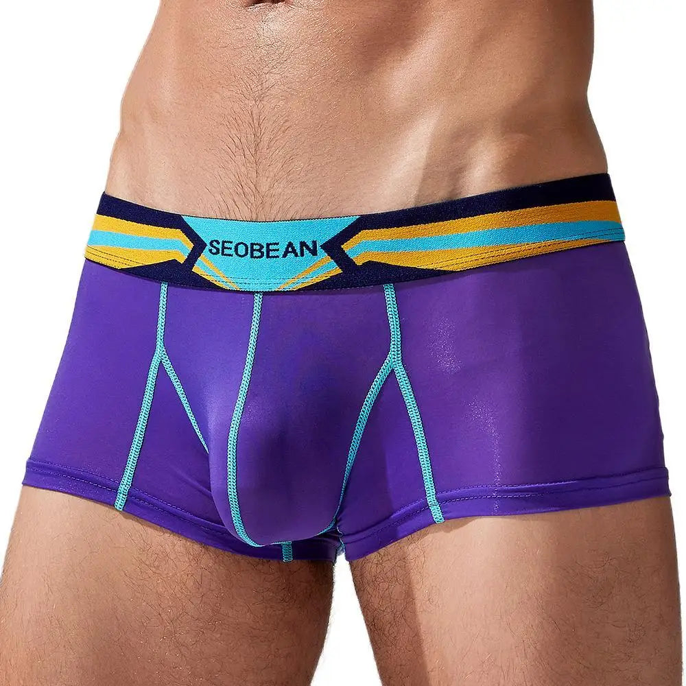 Stretch Semi-Sheer Trunks | dmunderwear detail image 4