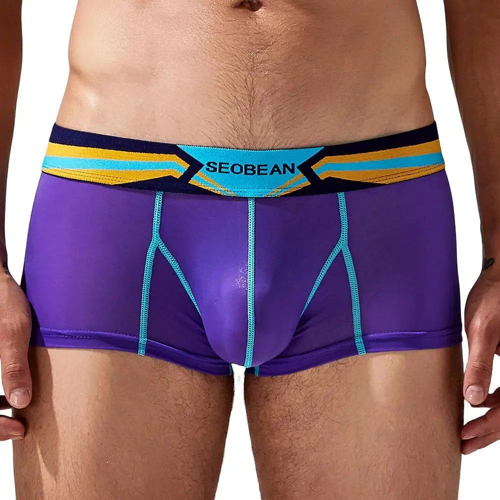 Stretch Semi-Sheer Trunks | dmunderwear detail image 5