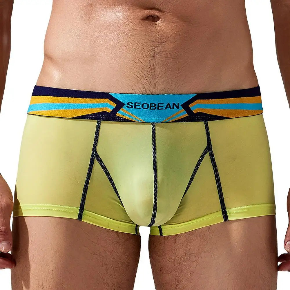 Stretch Semi-Sheer Trunks | dmunderwear detail image 8
