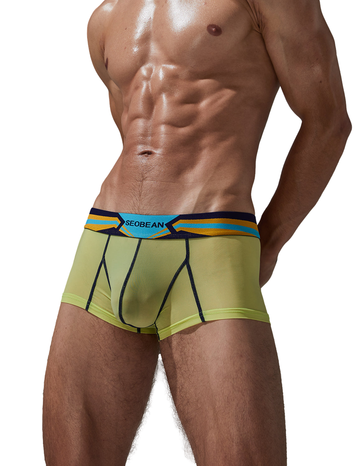 Stretch Semi-Sheer Trunks | dmunderwear detail image 9