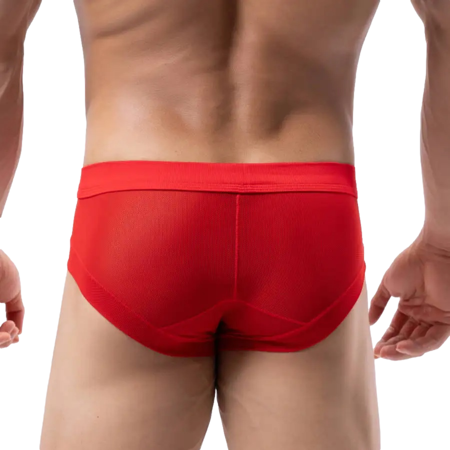 Stretch T-Briefs | dmunderwear detail image 10