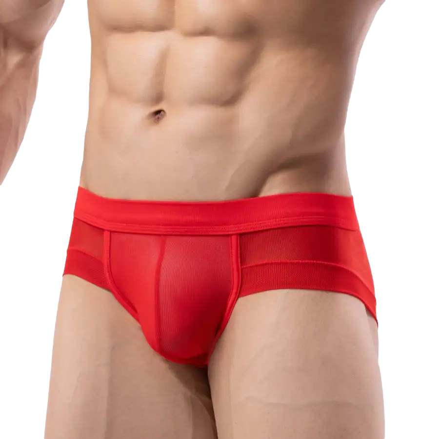 Stretch T-Briefs | dmunderwear detail image 11
