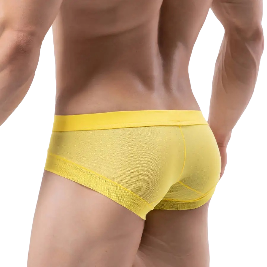 Stretch T-Briefs | dmunderwear detail image 4