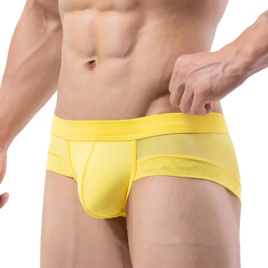 Stretch T-Briefs | dmunderwear detail image 5