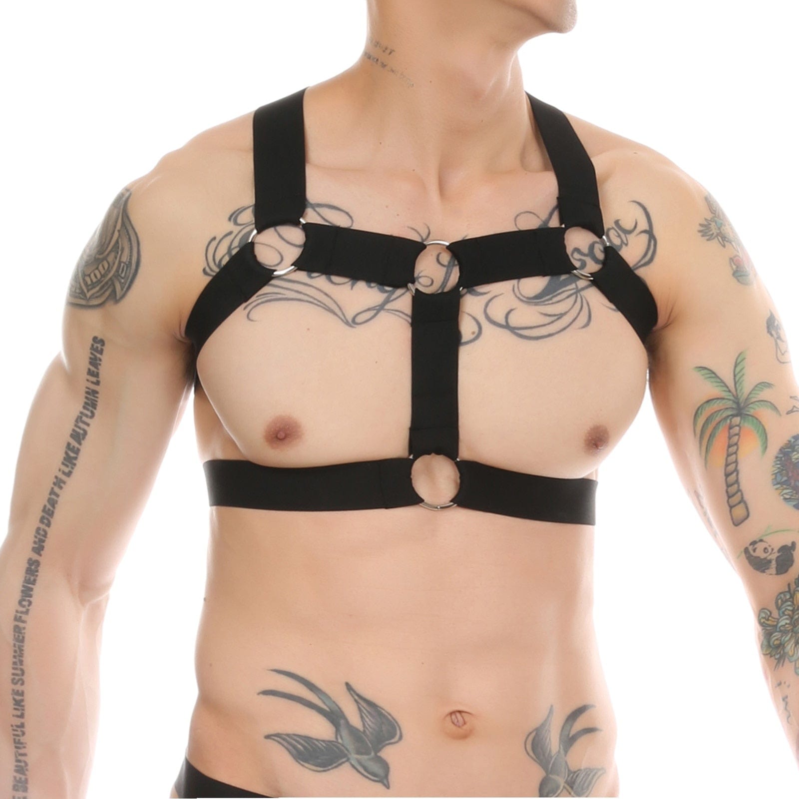 Harnesses