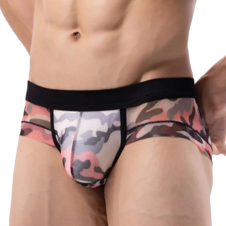 Tempting Sheer Briefs (5 Designs) | dmunderwear