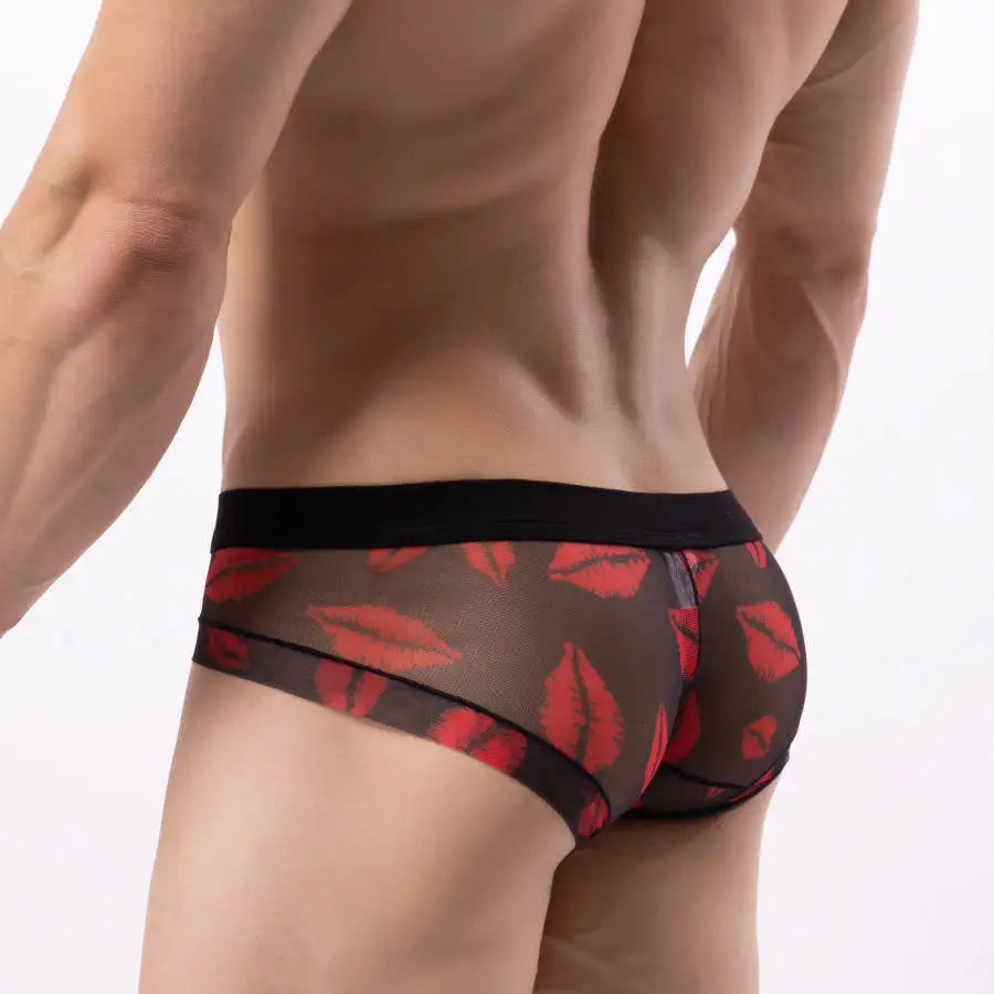 Tempting Sheer Briefs (5 Designs) | dmunderwear detail image 5