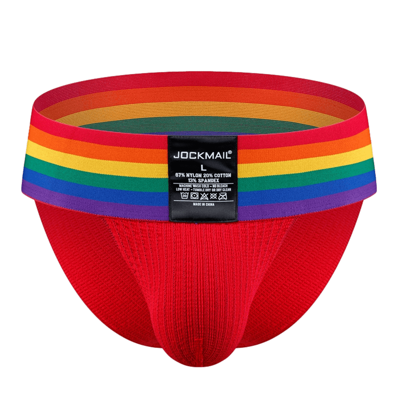 Thick Pride Tanga Briefs | dmunderwear detail image 13
