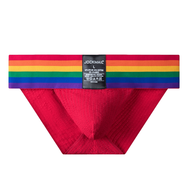 Thick Pride Tanga Briefs | dmunderwear detail image 14