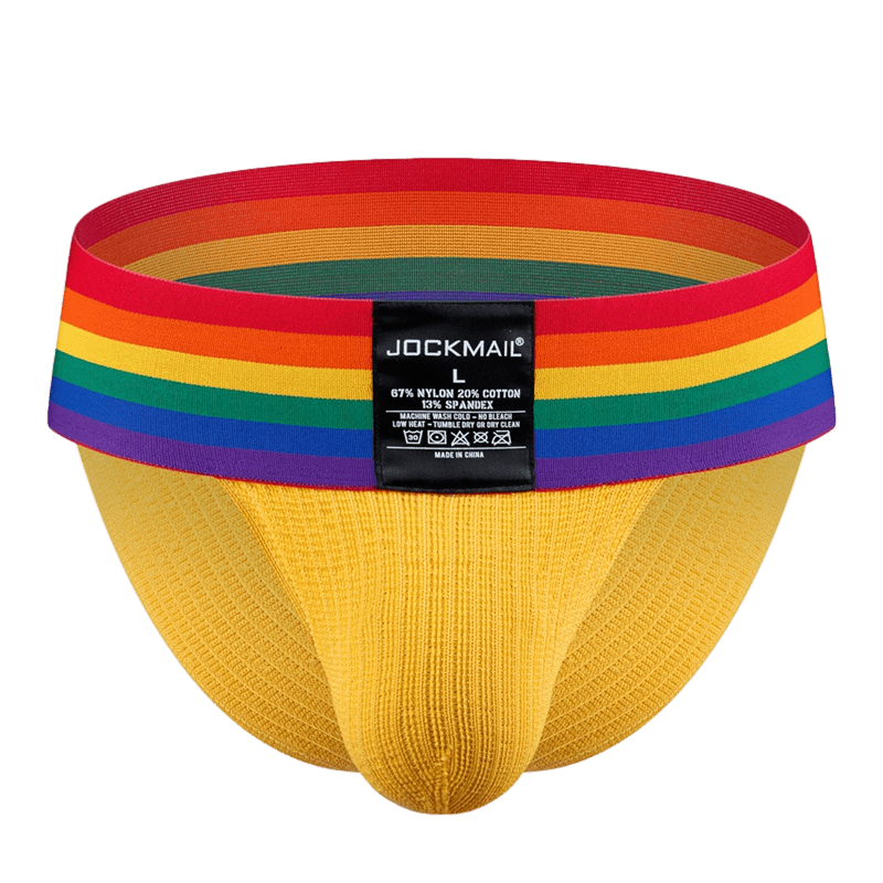 Thick Pride Tanga Briefs | dmunderwear detail image 17