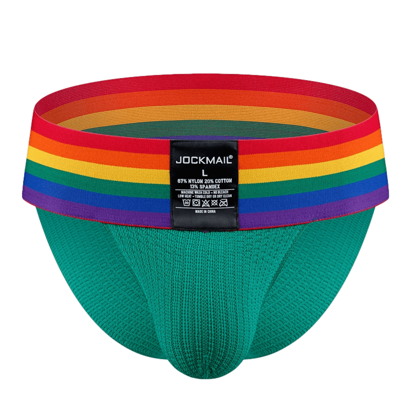 Thick Pride Tanga Briefs | dmunderwear detail image 18