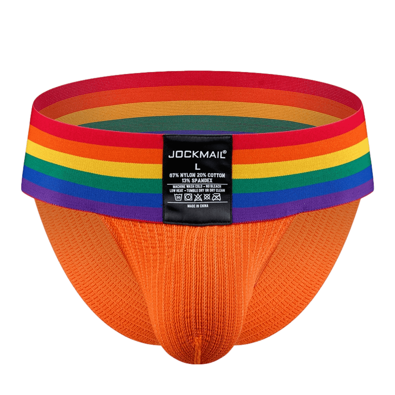 Thick Pride Tanga Briefs | dmunderwear detail image 19